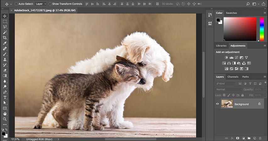 How To Download Adobe Photoshop