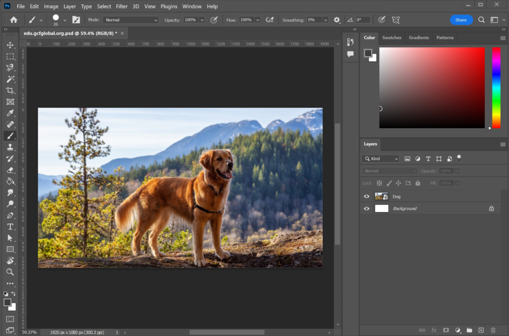 How To Download Adobe Photoshop